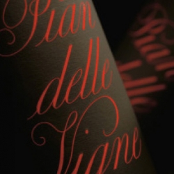 PIAN DELLE VIGNE 